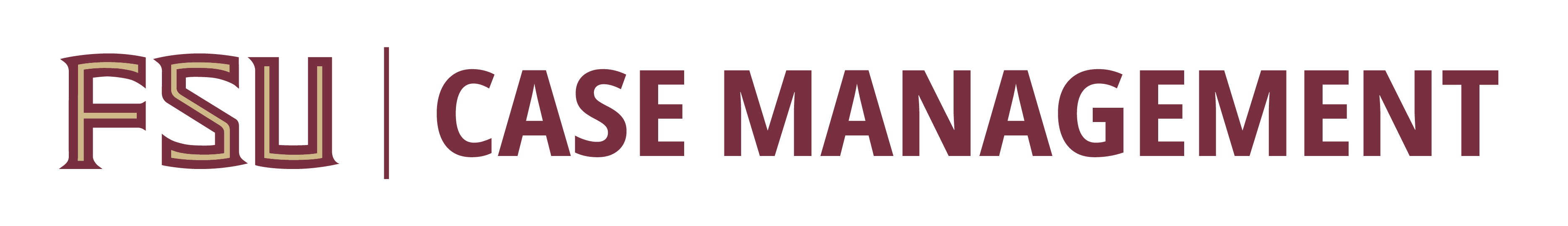 Division of Student Affairs at Florida State University Logo